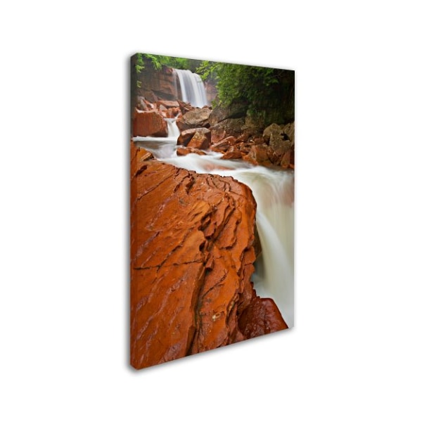 Michael Blanchette Photography 'Douglas Falls Chute' Canvas Art,22x32